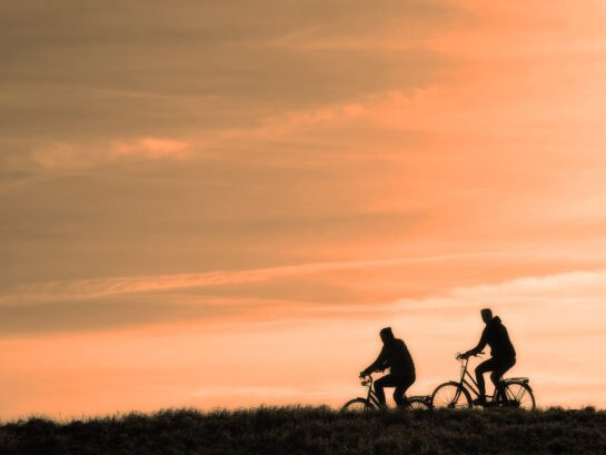 cyclist, person, people-3202481.jpg